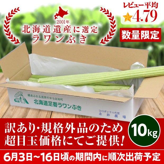 規格外 若採り生ラワンぶき 10kg