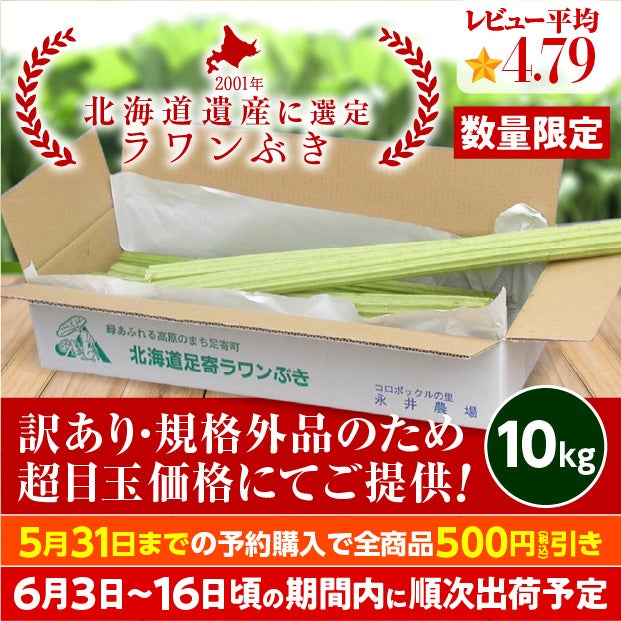 規格外 若採り生ラワンぶき 10kg