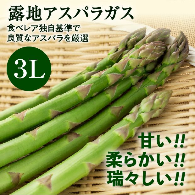 十勝産グリーンアスパラ「龍の髭」 3L 1㎏