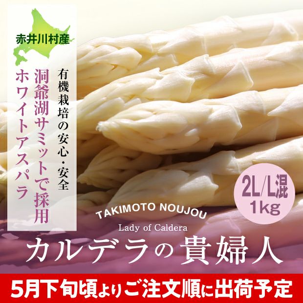 新鮮なホワイトアスパラ