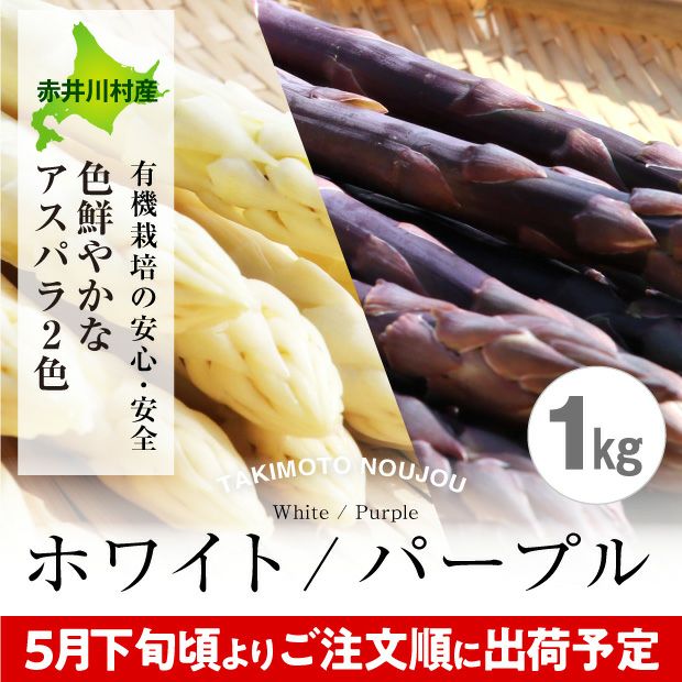 新鮮なホワイト・パープルアスパラ