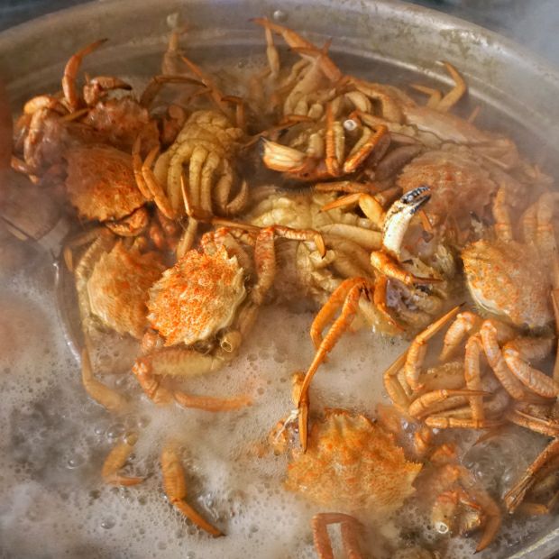 ボイル冷蔵】クリガニ籠漁 1口｜海鮮 カニ｜食べレア北海道 通販 物産