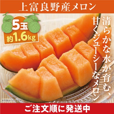 000000003446-01.jpg?size=m&w= 