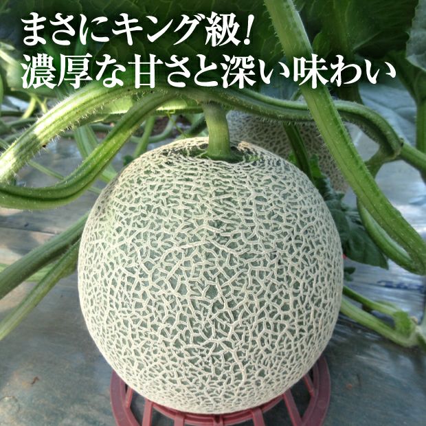 富良野産メロン キングルビー｜近藤農園 ルビーエイト 秀品 お中元