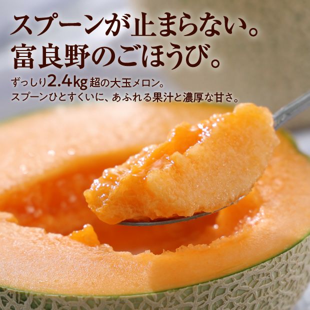 富良野メロンNORTH PREMIUM｜期間限定 北海道 ｜食べレア北海道 物産