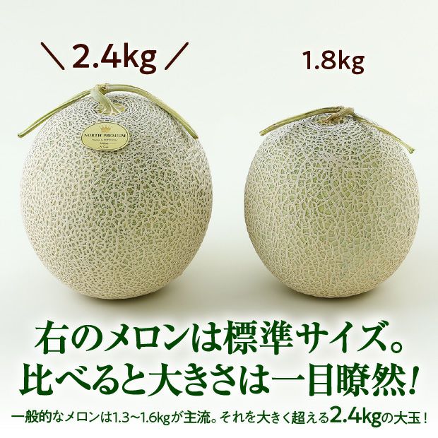 富良野メロン 約15キロ 道央近郊のみ直接配送 富良野メロンNORTH PREMIUM｜期間限定 北海道 ｜食べレア北海道 物産
