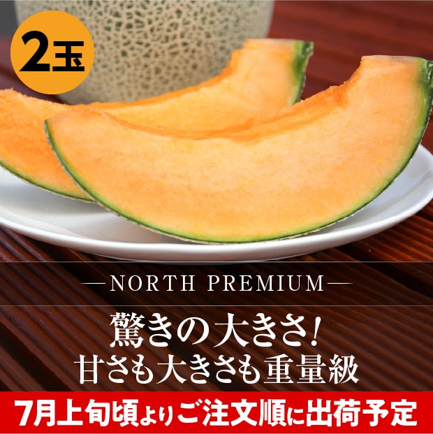 富良野メロン NORTH PREMIUM 約2.3kg 2玉