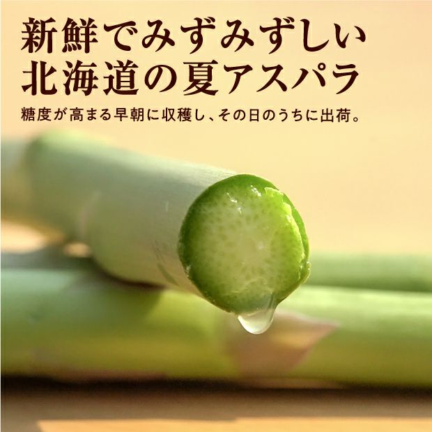 栗山産 夏採りアスパラ 2L/L混 800g｜空知 産直 お取り寄せ｜食べレア