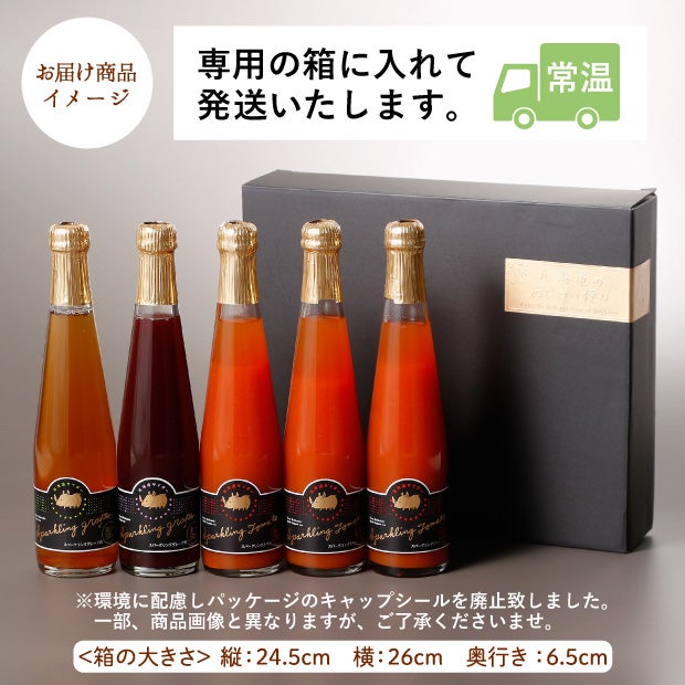 北海道サイダー 5本セット