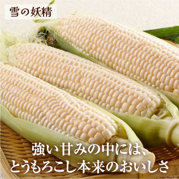 十勝幕別産ドルチェドリーム＆雪の妖精セット｜スイートコーン