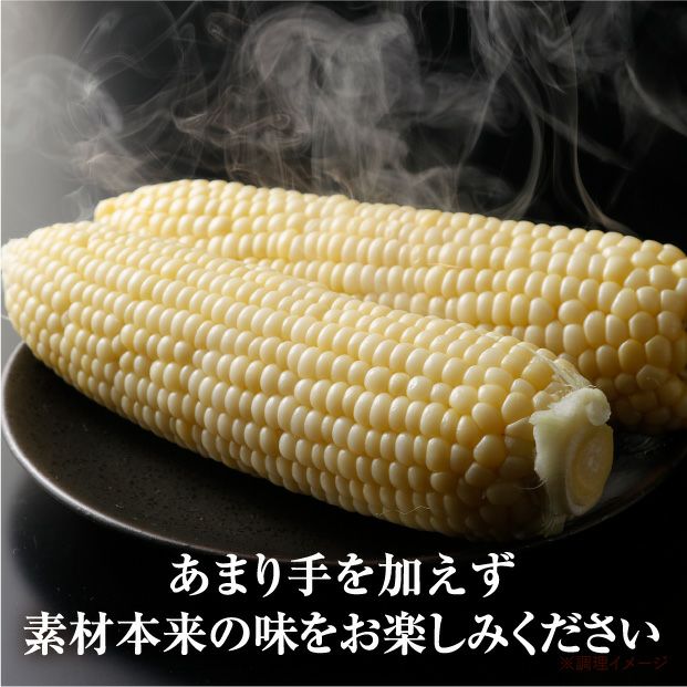 南幌産 ピュアホワイト（8本入）｜とうもろこし ギフト 数量限定｜食べ
