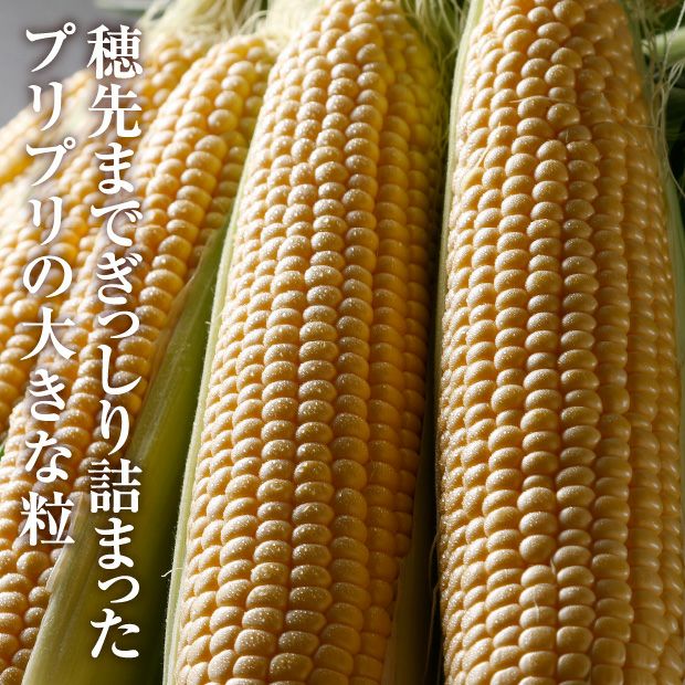 芽室産 ゴールドラッシュ｜十勝 30本入 とうもろこし ギフト｜食べレア