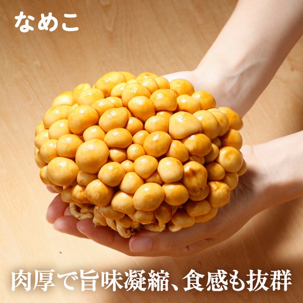 比布町産きのこ3兄弟セット