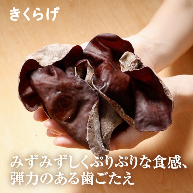 比布町産きのこ3兄弟セット