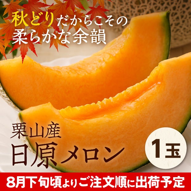 栗山産　日原メロン（赤肉）　約1.6㎏　1玉