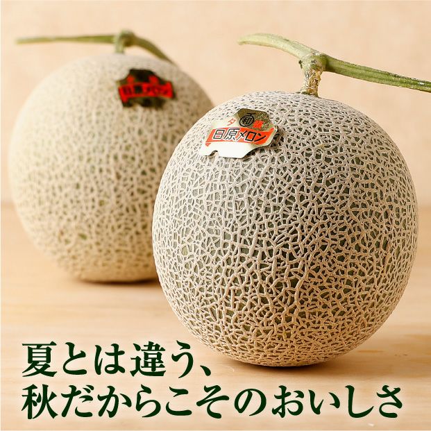栗山産 日原メロン 秀品 約1.6kg・1玉 ｜空知 ｜果物｜食べレア北海道