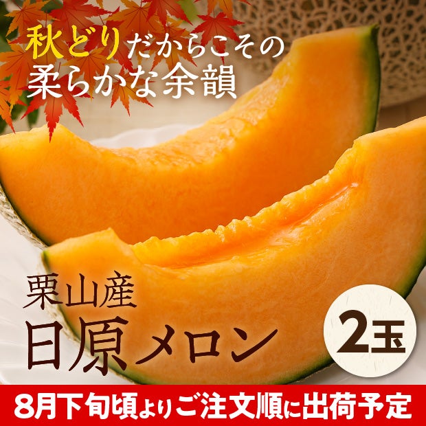 栗山産　日原メロン（赤肉）　約1.6㎏　2玉