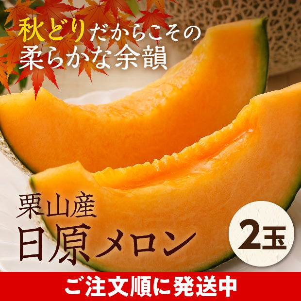 栗山産　日原メロン（赤肉）　約1.6㎏　2玉