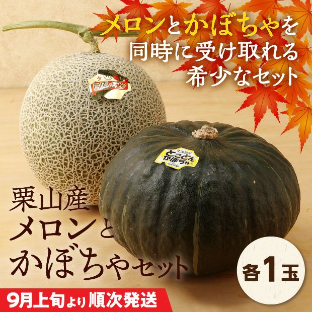 栗山産 日原メロンとかぼちゃのセット 各1玉 ｜空知 ｜果物｜食べレア
