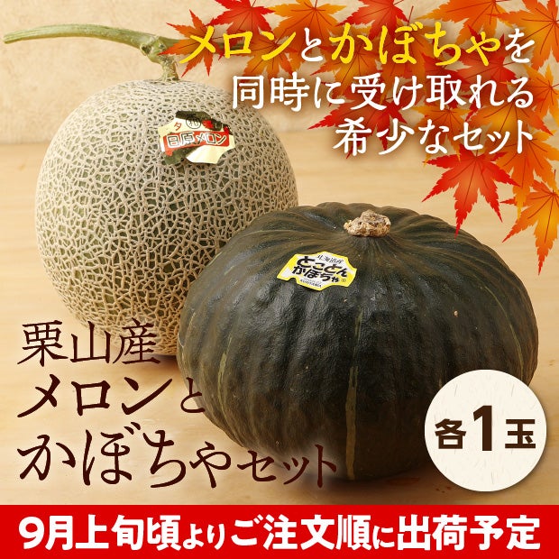 栗山産　メロンとかぼちゃセット　各1玉