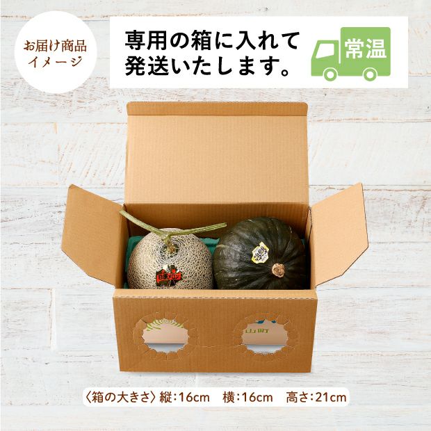 栗山産 日原メロンとかぼちゃのセット 各1玉 ｜空知 ｜果物｜食べレア