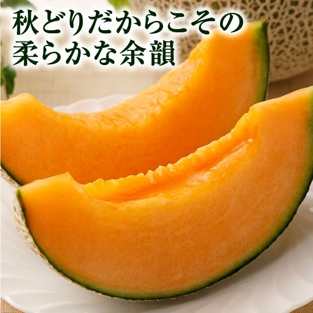 栗山産 北の大地セット（メロン・かぼちゃなど） ｜空知 ｜食べレア