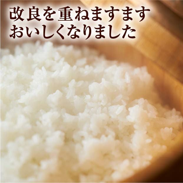 岩見沢産 金賞ゆめぴりか 15kg