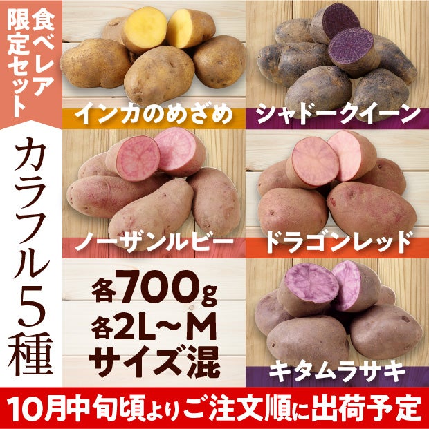 けんぶちVIVAマルシェ　カラフルじゃがいも種セット　3.5㎏