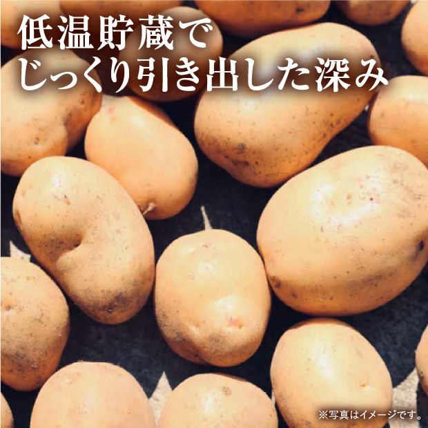 剣淵産 カラフルじゃがいも5種セット｜北海道 上川 ｜食べレア北海道