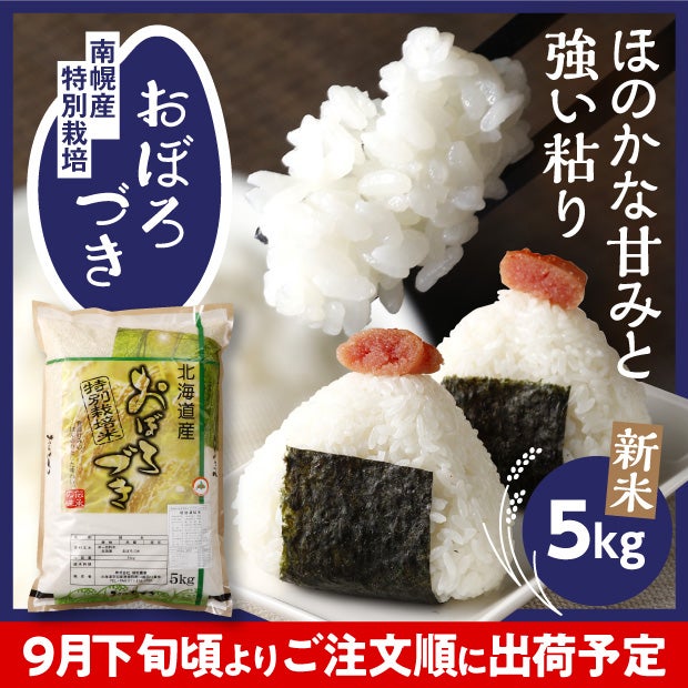 南幌産 特別栽培 おぼろづき 5kg