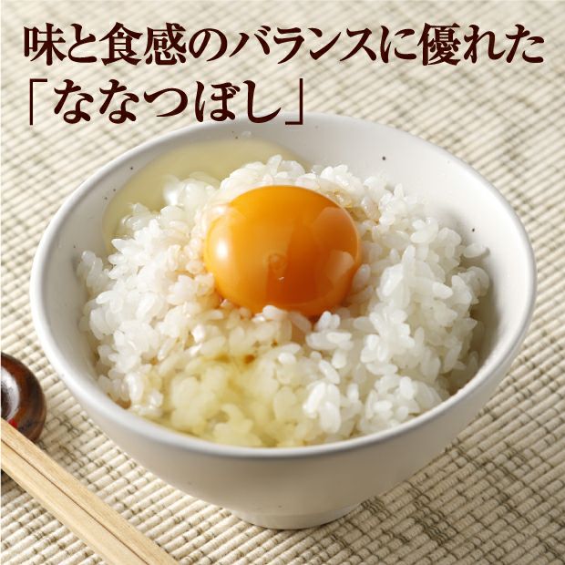 南幌産 特別栽培ゆめぴりか・ななつぼし各5kg｜空知 城地農産｜米