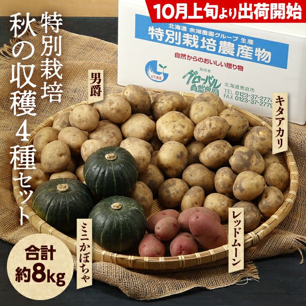 特別栽培 秋の収穫4種セット（3種のじゃがいもとミニかぼちゃ｜食べ