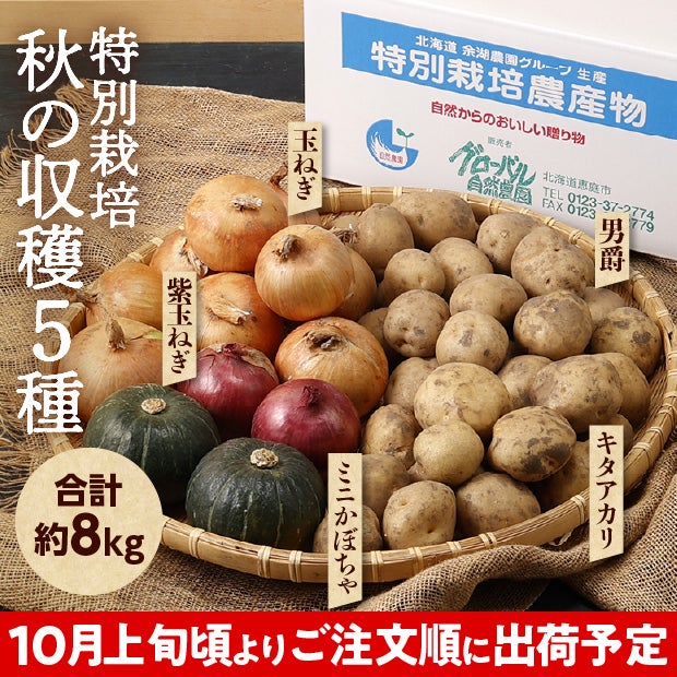 特別栽培 秋の収穫5種セット（じゃがいも・玉ねぎ・ミニかぼちゃセット）