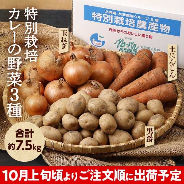特別栽培カレーの野菜3種セット（じゃがいも、玉ねぎ、ニンジン