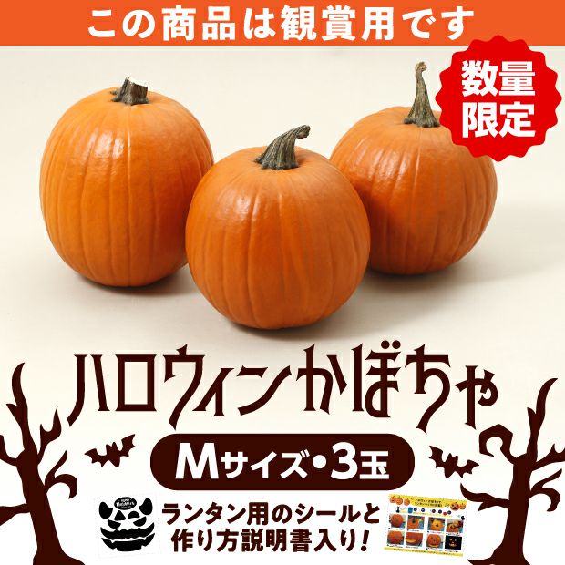 ハロウィンかぼちゃ Mサイズ3玉｜食べレア北海道 物産 お取り寄せ