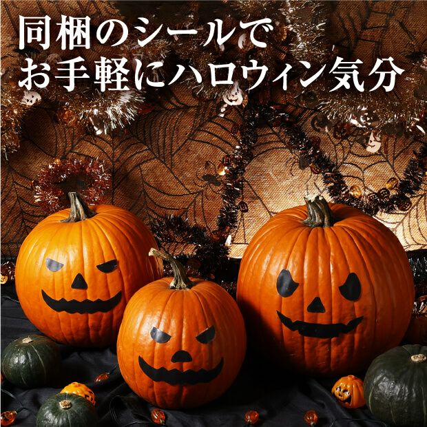 ハロウィンかぼちゃ Lサイズ2玉｜食べレア北海道 物産 お取り寄せ