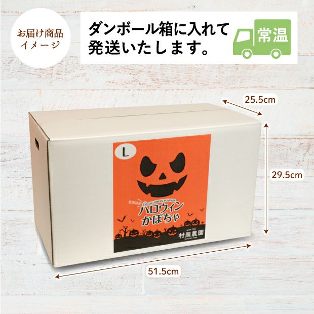 ハロウィンかぼちゃ Lサイズ2玉｜食べレア北海道 物産 お取り寄せ
