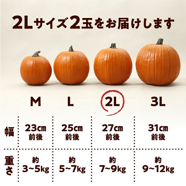 ハロウィンかぼちゃ 2Lサイズ2玉｜食べレア北海道 物産 お取り寄せ