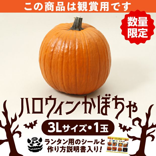 ハロウィンかぼちゃ 3Lサイズ1玉｜食べレア北海道 物産 お取り寄せ