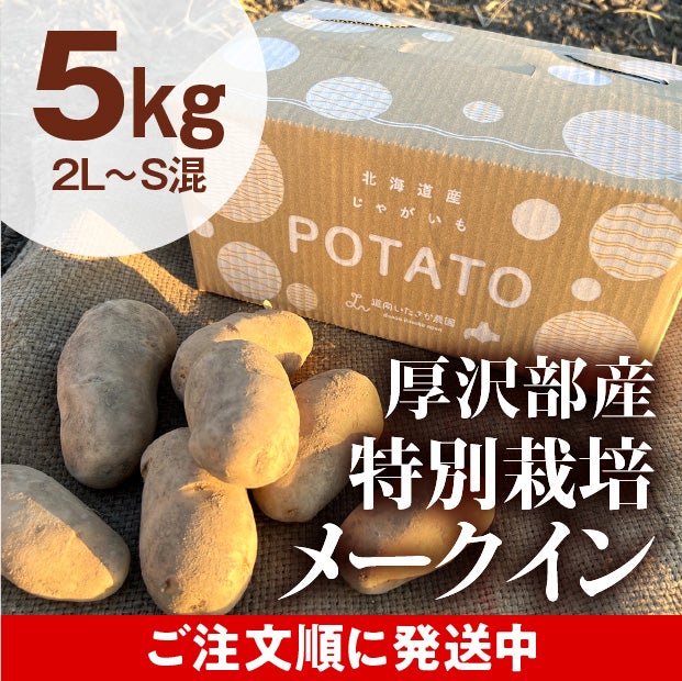 厚沢部産 メークイン（2L～S混） 5kg 道南いたさか農園｜野菜｜食べ