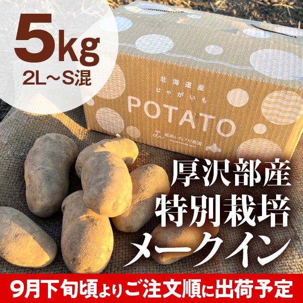 厚沢部産 メークイン（2L～S混） 5kg