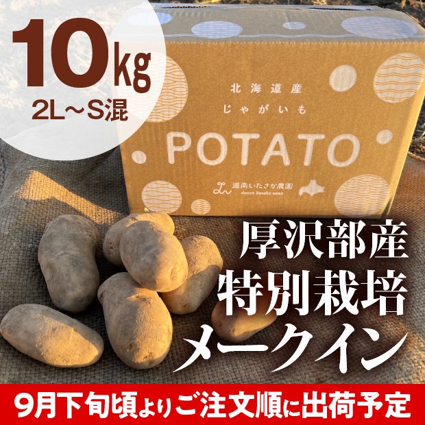 厚沢部産 メークイン（2L～S混） 10kg