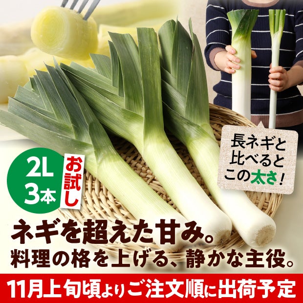 十勝リーキ(ポロネギ)お試しセット