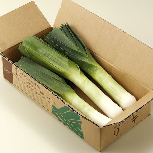リーキ　ポロネギ　ランダム5kg 十勝リーキ（ポロネギ）お試しセット－野菜｜食べレア北海道