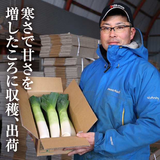 十勝リーキ(ポロネギ)お試しセット