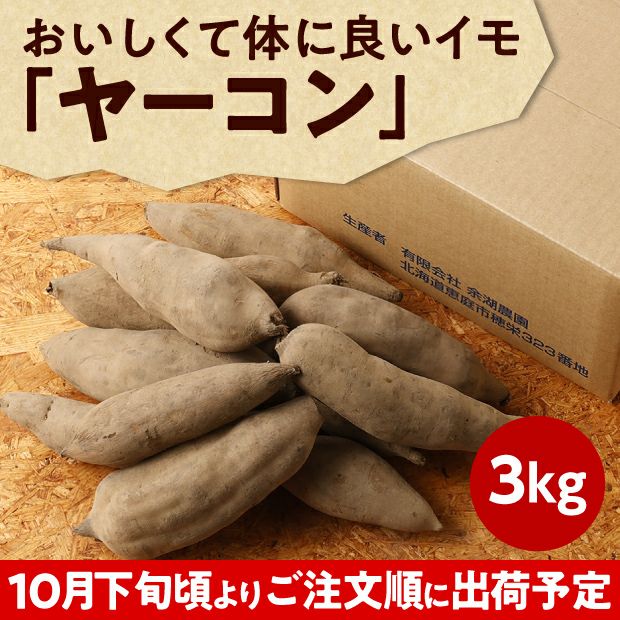 【化学肥料・農薬不使用】北海道産ヤーコン 3kg