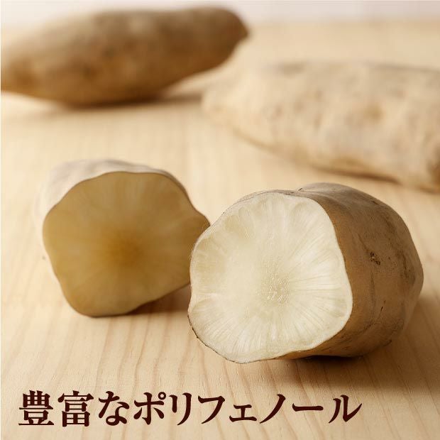 ヤーコン 600g ヤーコン - Wikipedia