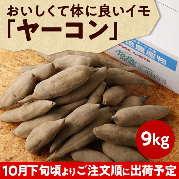 化学肥料・農薬不使用の北海道産ヤーコン 9kg｜余湖農園 ｜お取り寄せ