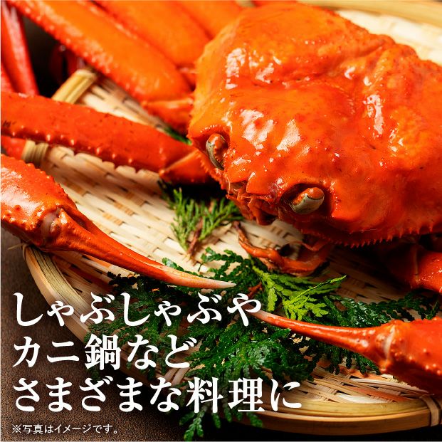 生冷】紅ずわいがに棒ポーション｜根室 杉山水産 お取り寄せ｜食べレア