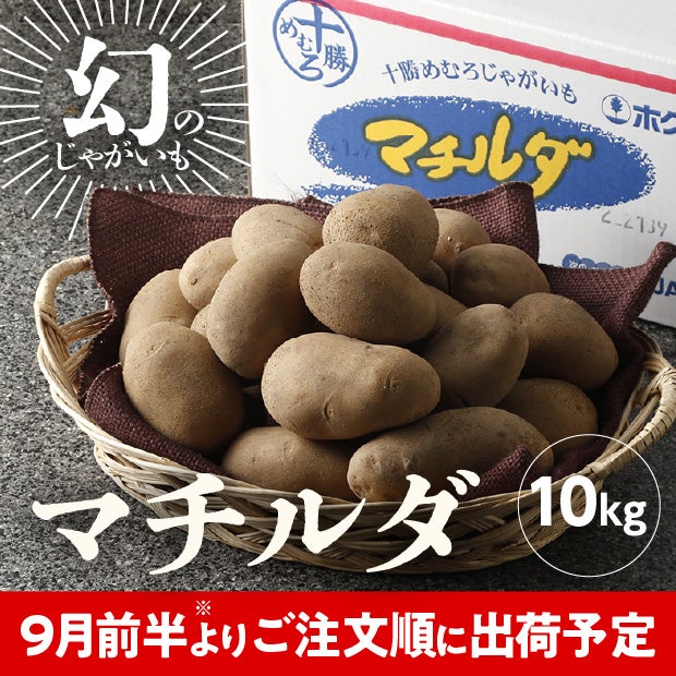 JAめむろ マチルダLサイズ 10kg